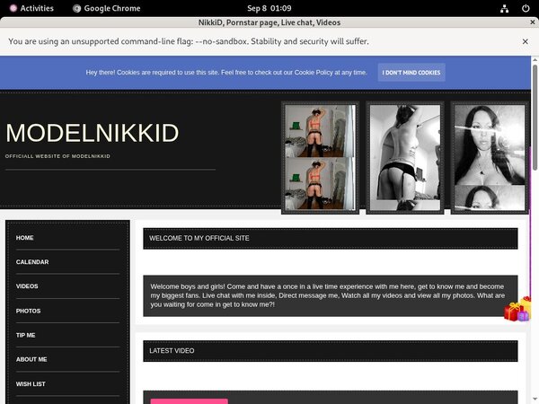 Account On Modelnikki.modelcentro.com