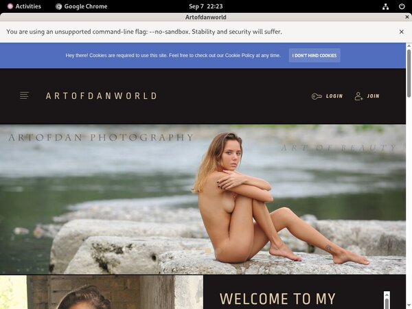 Artofdanworld.com Pricing