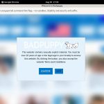 Bad Puppy Account Logins