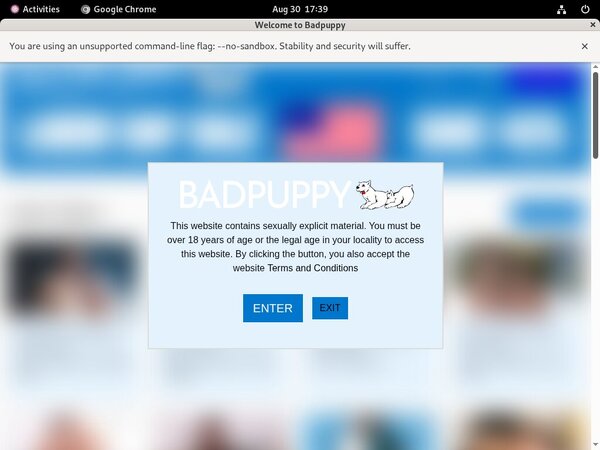 Bad Puppy Website
