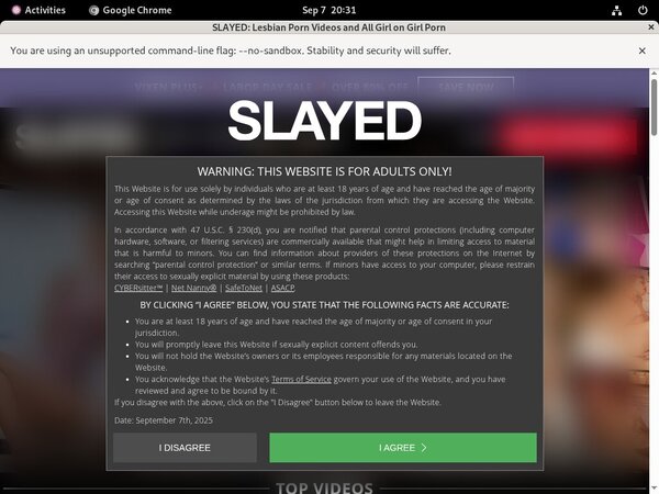 Big Slayed.com