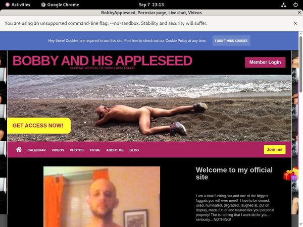 Bobbyappleseed.modelcentro.com With Webbilling.com