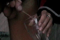 Boyspissing 1 Day Trial s2