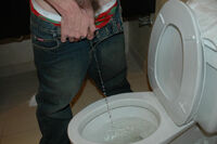 Boyspissing Downloads s0