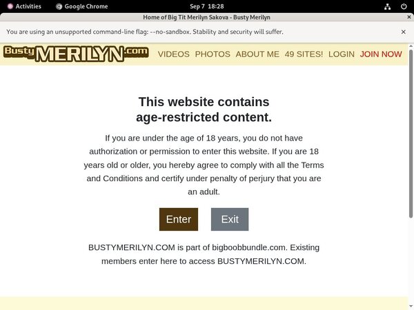 Bustymerilyn Site Rip Download