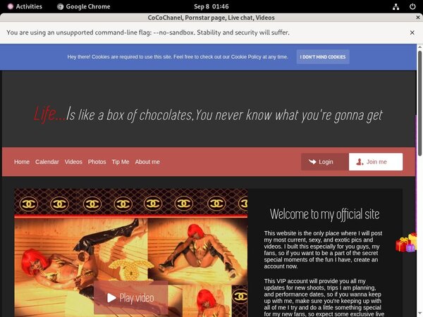 Cocochanel.modelcentro.com Working Accounts