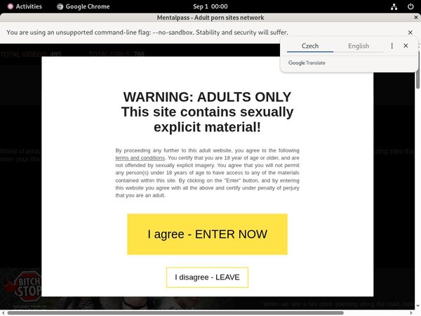 Coupon Mental Pass