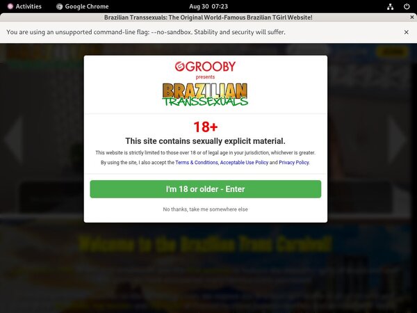 Deal Brazilian Transsexuals