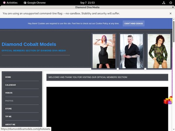 DiamondDivaMedia Secure Purchase