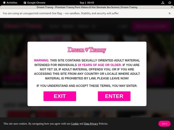 [Image: Dreamtrannycom-Videos-Gratis.jpg]