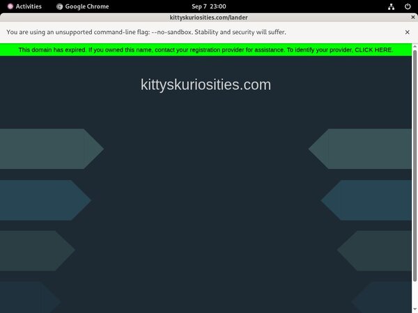 Free Kitty's Kuriosities Login Accounts