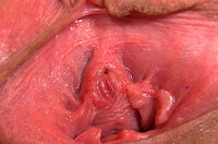 Gape My Pussy Account List s4