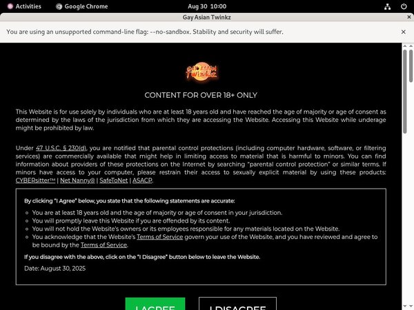 Gayasiantwinkz.com Free Site