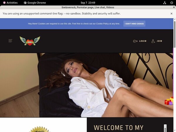 How To Get On Liveloverock.modelcentro.net For Free