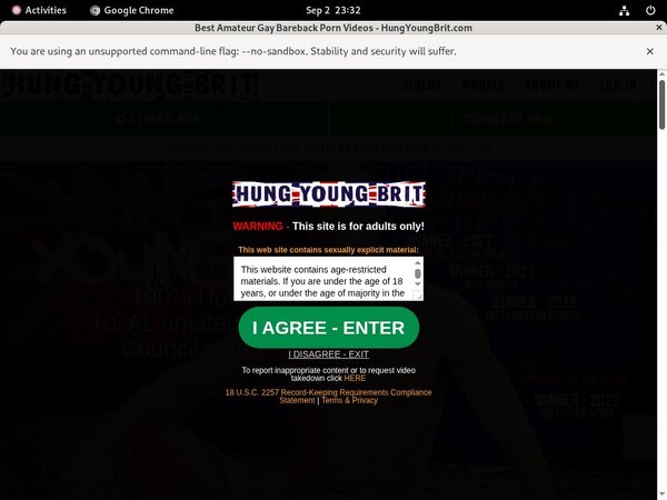 Hungyoungbrit.com Promo Trial