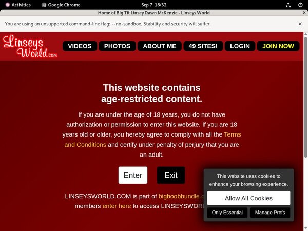 Inside Linseysworld.com