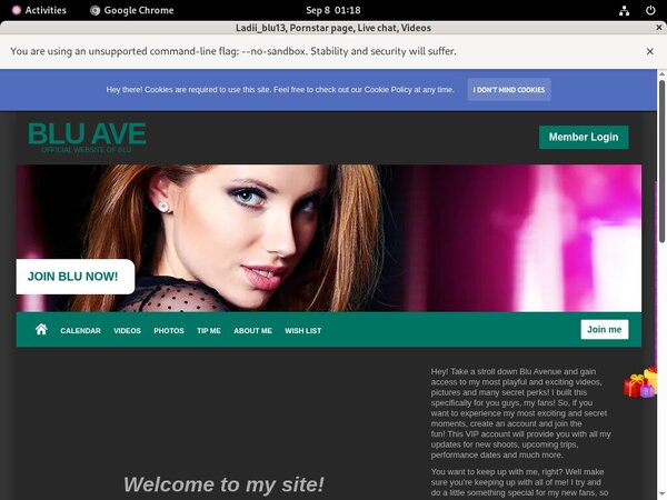 Ladiiblu13.modelcentro.com ??