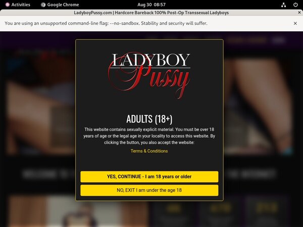 Ladyboy Pussy Payment Methods