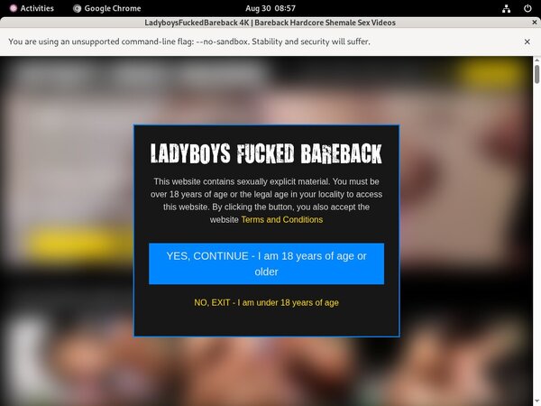 Ladyboysfuckedbareback Trial Offer Ladyboysfuckedbareback Trial Offer