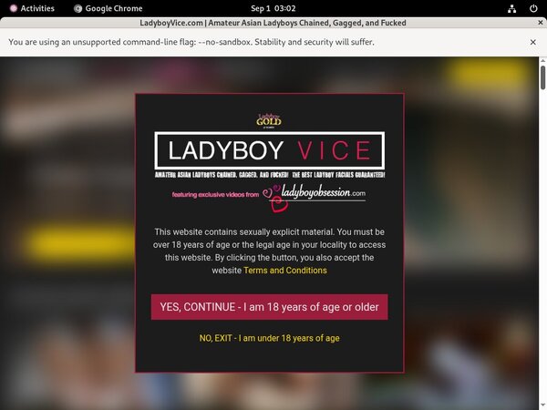 Ladyboyvice.com Epochstats