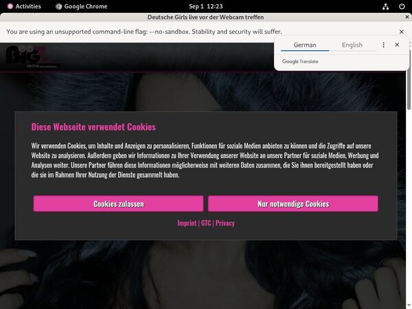 Lana Giselle Free Password