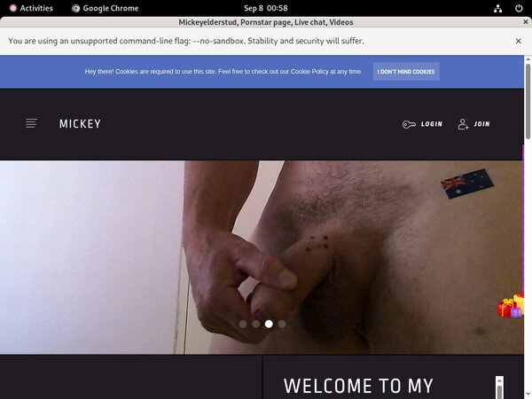 [Image: Mickeyelderstud-Login-Codes.jpg]