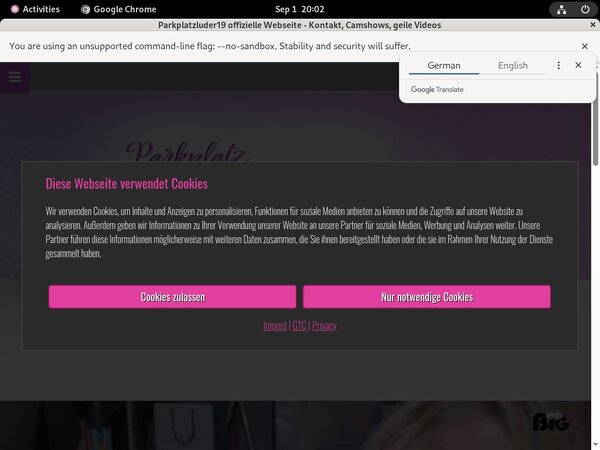 Parkplatzluder19 Working Account