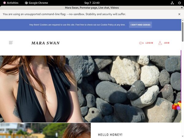 Paypal Swan Mara