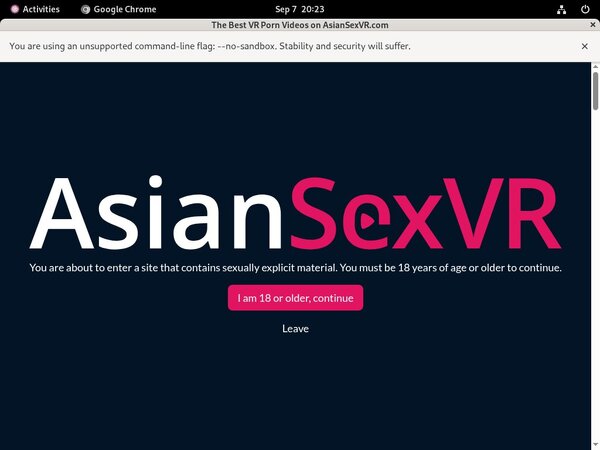 Porn Asian VR Sex