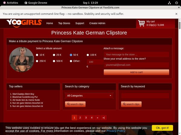 Princess Kate German Network Login