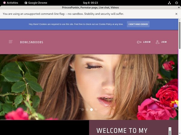 PrincexPunkin Password Site