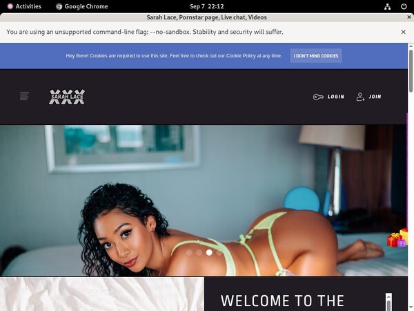 SarahLace Working Password