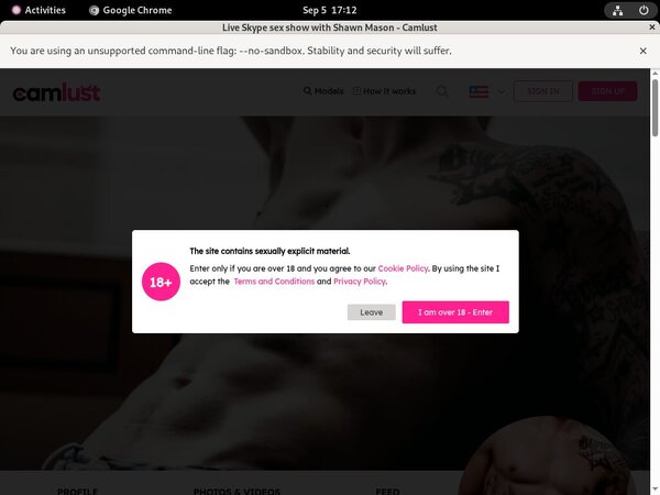 Shawn Mason Site Rip Url