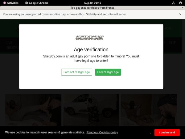 Sket Boy Logins For Free