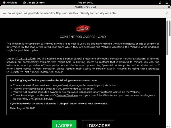 Str8boyzseduced.com Promo Codes