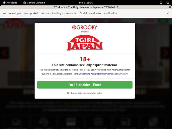 TGirl Japan Free Logins 2018