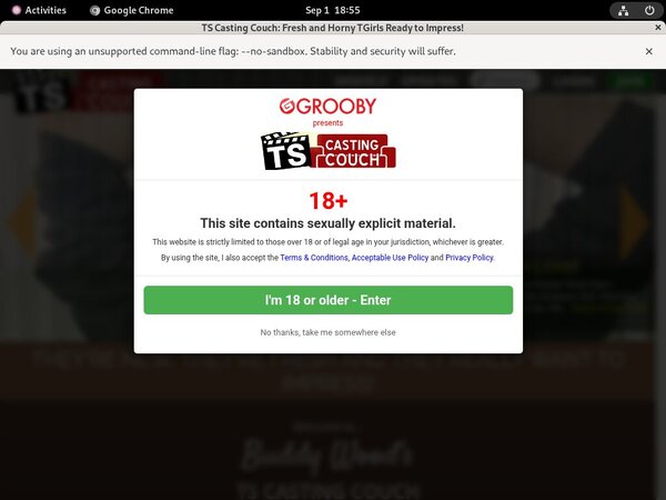 TS Casting Couch Payporn Sites