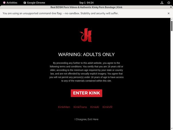 Valid Kink Unlimited Passwords