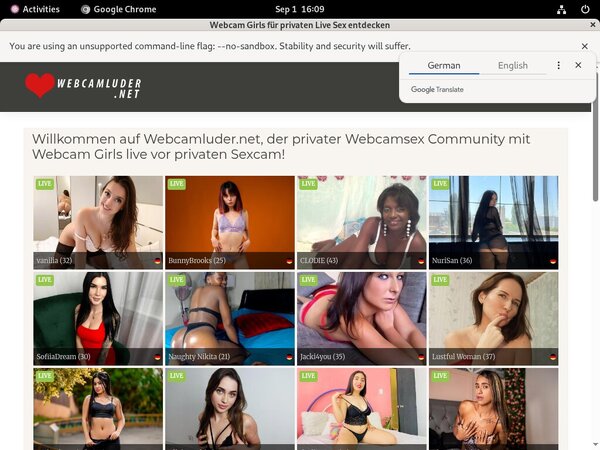 WebCam Luder Pussy