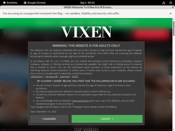 Promo Vixen.com Free Trial